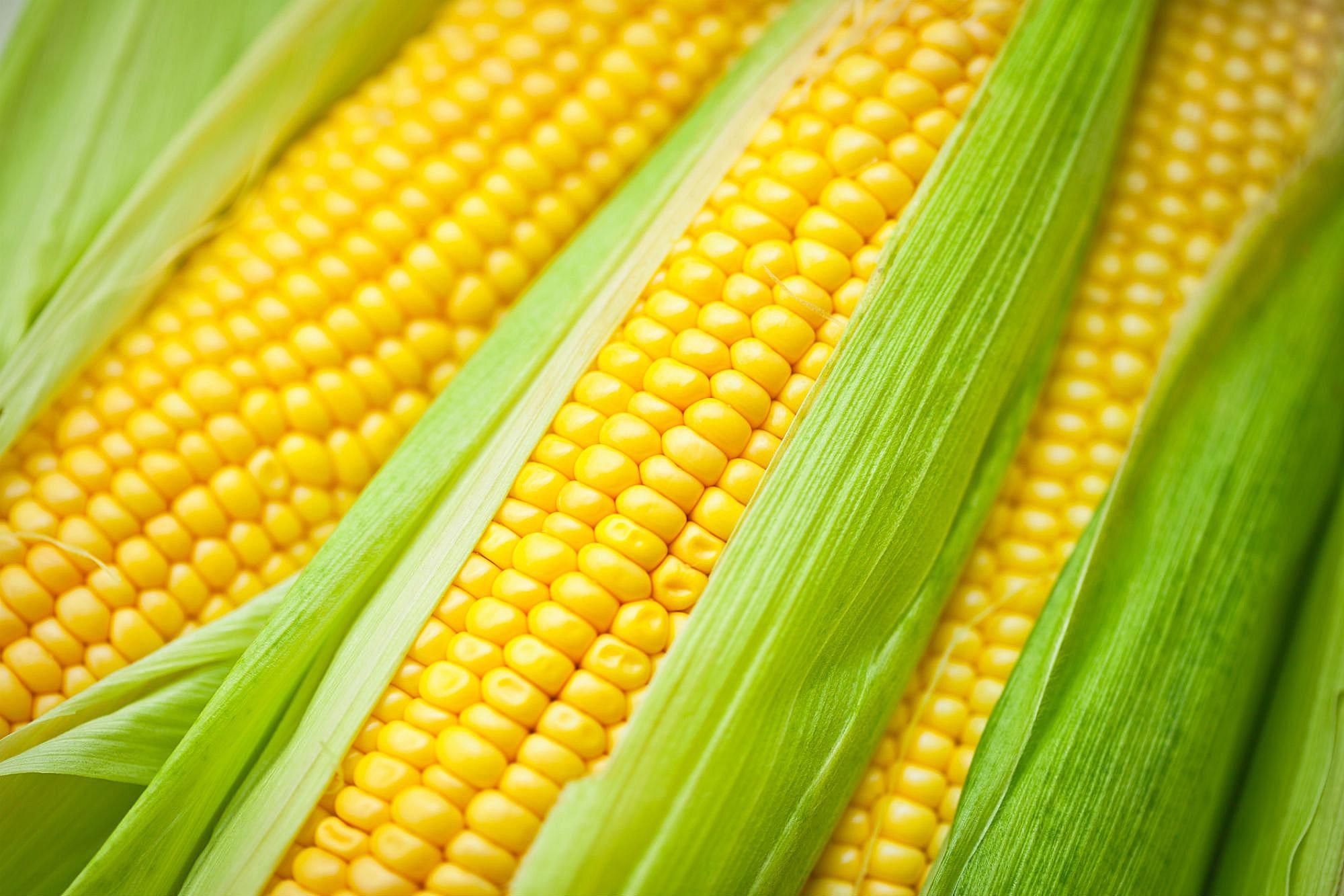 Corn.